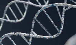Taking a DNA test can not only help you discover your ethnicity, but it can also help you find cousins which can expand your genealogy and broaden your tree